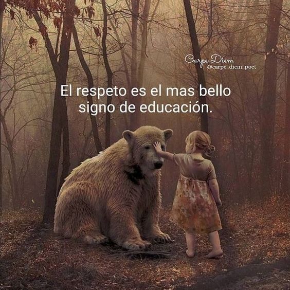 La vida es un largo aprendizaje pero a la vez un tren de corto recorrido - Noticias Breves