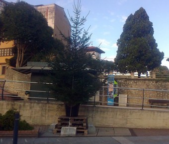Instalado el árbol de Navidad de los Empresarios y Comerciantes de Colunga - Concejo de Colunga