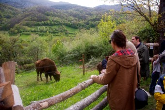 Actividades para el Puente en el Parque de la Prehistoria - Sociedad y Cultura