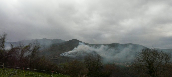 La retirada de los acotamientos en Asturias es inconstitucional - Ecología y Medioambiente