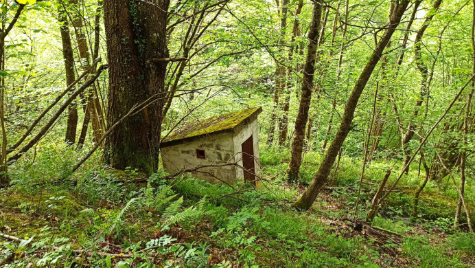 Medio Ambiente inicia el martes las obras de renovación de la red de abastecimiento de San Juan de Beleño, en Ponga - Concejo de Ponga