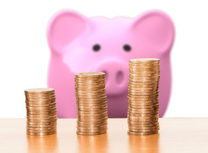 Ahorra 1.378,00 € sin esfuerzo - Economía y Empleo