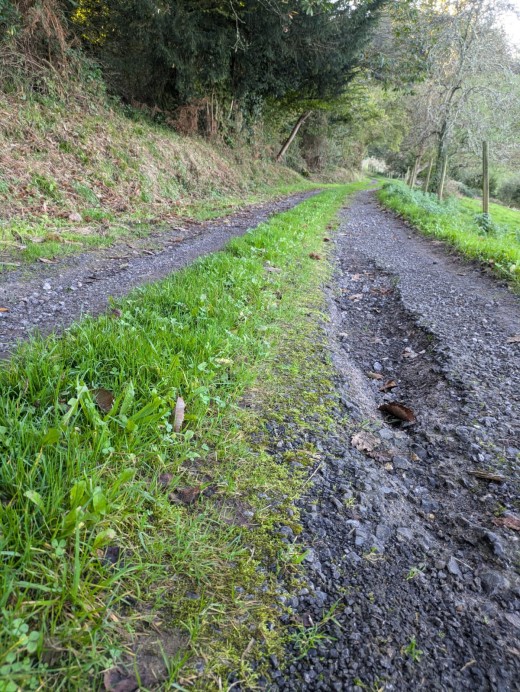 El Consejo de Transparencia ordena al Alcalde de Parres entregar la documentación solicitada por Ciudadanos - Concejo de Parres