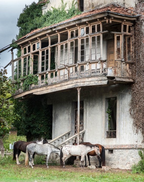 Ciudadanos rechaza el presupuesto municipal del PSOE de Parres porque engañan a los vecinos - Concejo de Parres