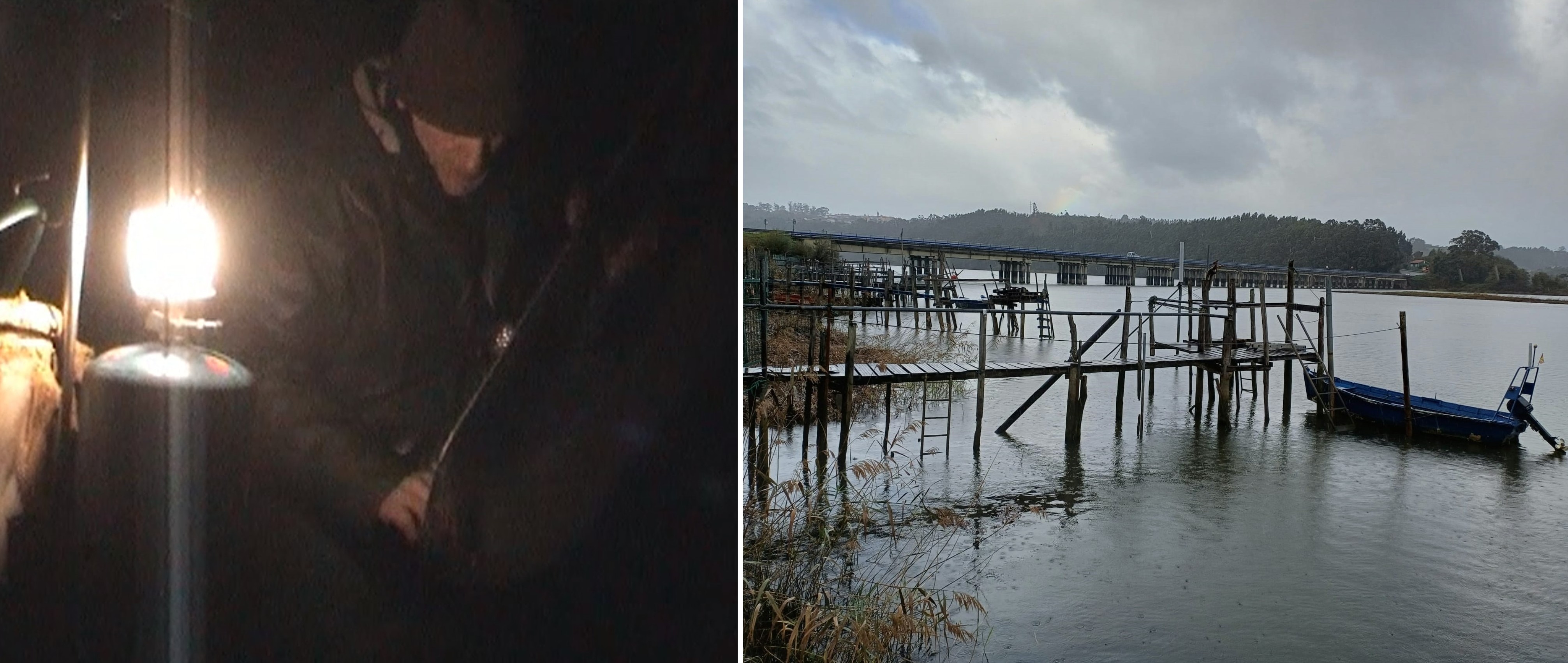 La Coordinadora Ecoloxista d’Asturies lamenta que la anguila no sea incluida como especie en peligro de extinción - Ecología y Medioambiente