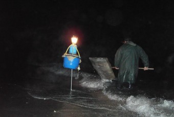 Lamentamos que el Principado siga apostando por acabar con la angula y con la anguila otro año mas - Ecología y Medioambiente