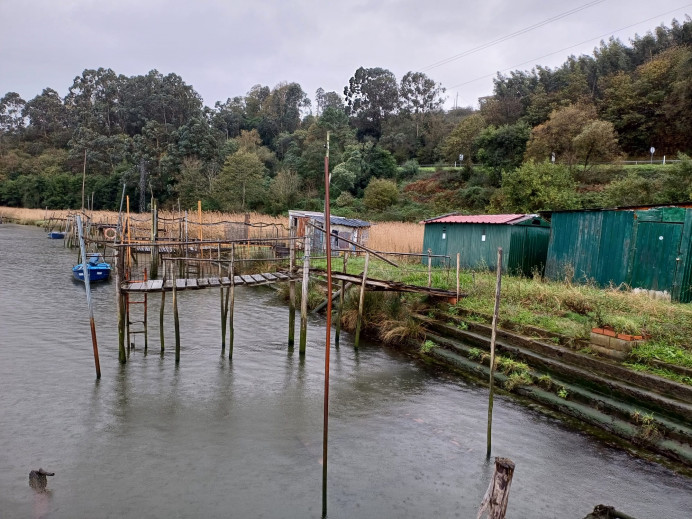 Ecologistas de Asturias: El Principado sigue sin escuchar las peticiones de las Comisión Europea sobre la angula - Asturias