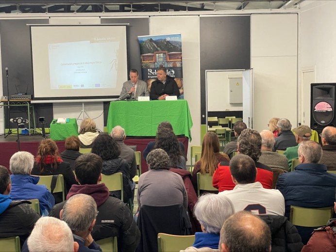 Asturias registró un incremento del 75,4 por ciento de las explotaciones apícolas de 2010 a 2023 y se situó como la segunda comunidad con mayor crecimiento - Asturias