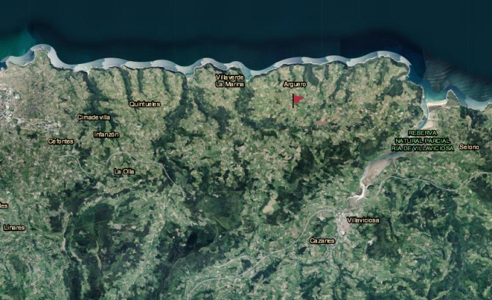 Feria de Ganado de Argueru 2024 - Concejo de Villaviciosa