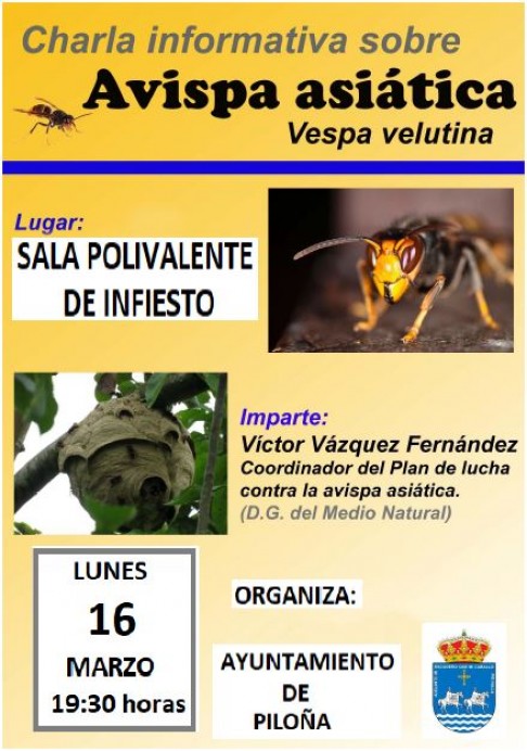 Charla informativa sobre Avispa Asiática, Vespa Velutina - Concejo de Piloña