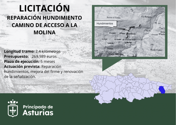 Fomento saca a licitación la reparación de hundimientos en el camino de acceso a La Molina, en Cabrales - Concejo de Cabrales