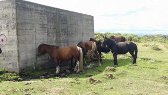El Centro de Interpretación Sierra del Sueve continuará abierto en Septiembre - Comarca del Sueve