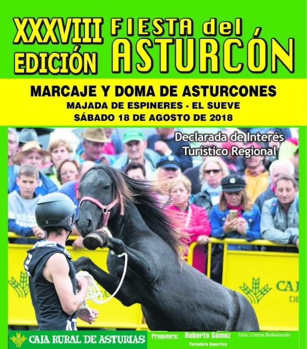 XXXVIII Edición Fiesta del Asturcón  En la Majada de Espineres  - Fiestas y Tradiciones