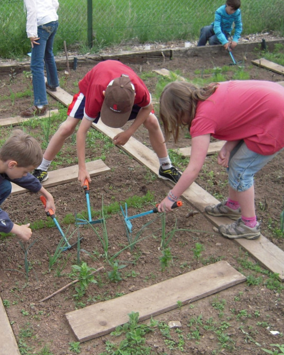 El COPAE se une a la segunda edición del Concurso regional de agricultura ecológica y saludable en el ámbito escolar que premiará a los mejores proyectos de la Red de Huertos Escolares Ecológicos de Asturias - Asturias