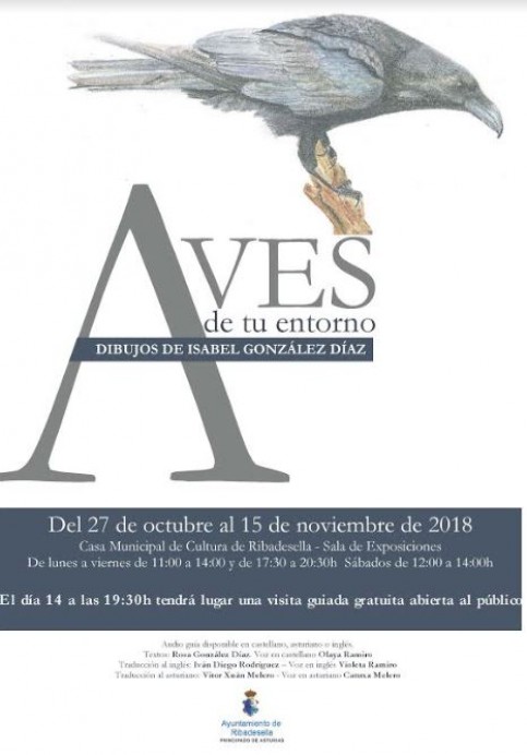 Exposición aves de tu entorno - Concejo de Ribadesella