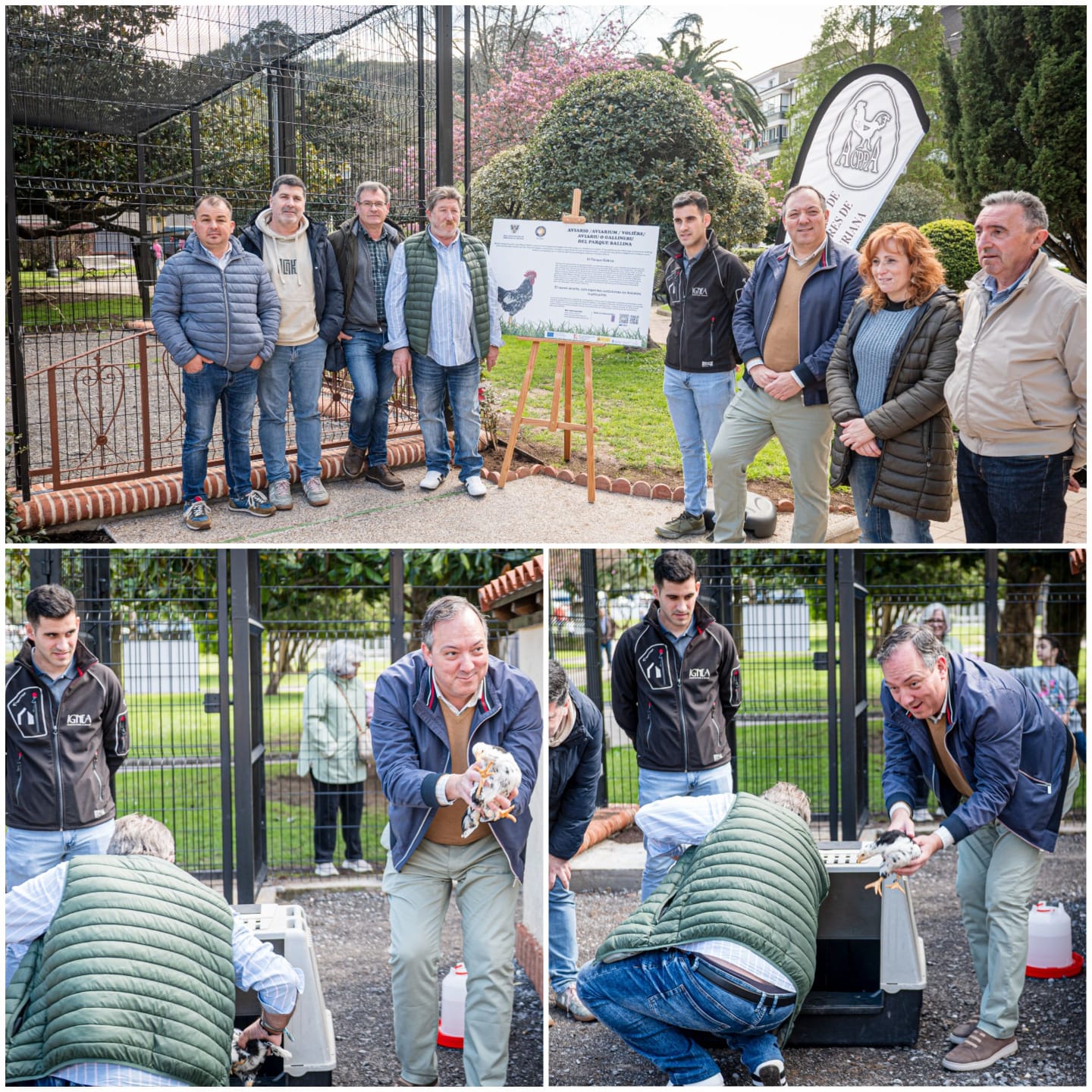 Villaviciosa inaugura el nuevo aviario del Parque Ballina, el primero de Asturias dedicado a la pita pinta - Concejo de Villaviciosa