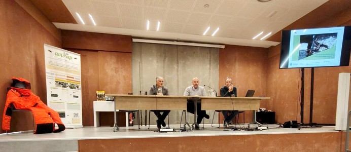 Asturias capturó más de 109.000 reinas de avispa asiática en 2025 con un despliegue de 5.500 trampas en 61 concejos - Asturias
