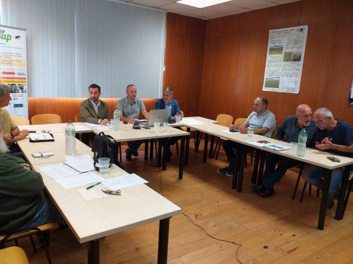 La campaña contra la avispa asiática finaliza con un descenso de las capturas, a pesar del incremento del número de trampas instaladas - Asturias