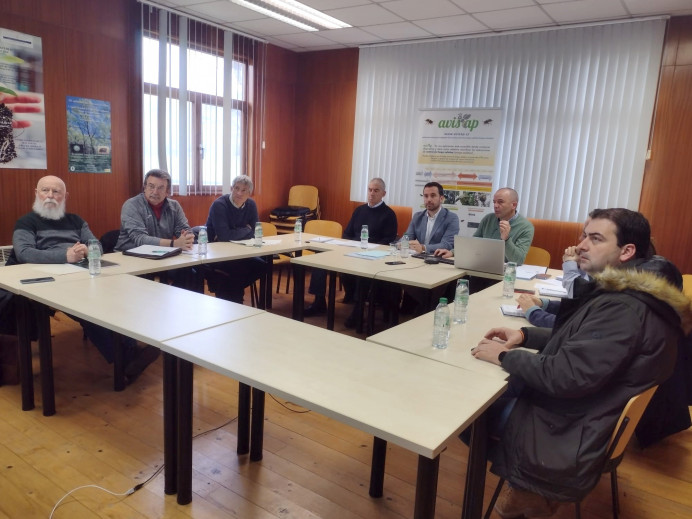 Medio Rural confirma la estabilización de la presencia de la avispa asiática en Asturias - Asturias