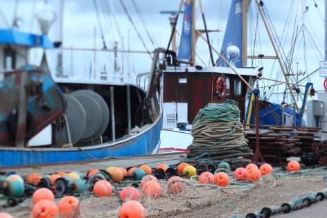 Medio Rural incluye a cinco cofradías del Oriente entre las solicitudes para ayudas pesqueras - Asturias