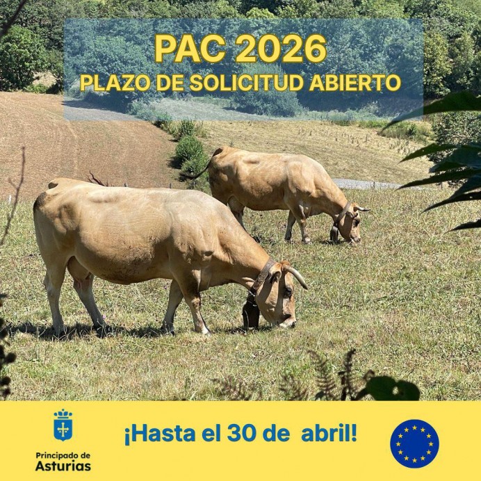 El plazo de la PAC sigue abierto hasta el 30 de abril con 95,3 millones en ayudas - Asturias