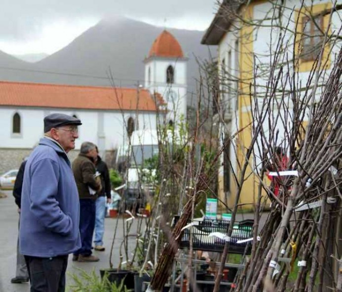 El pueblo de Balmori celebra el sábado 6 de febrero la Feria del Árbol de Santa Dorotea - Concejo de Llanes