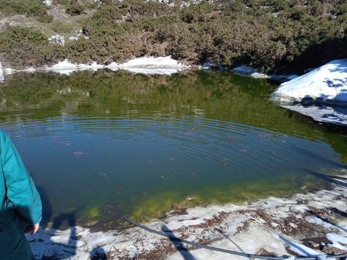 Repararación una balsa ganadera en Llabres. - Concejo de Llanes