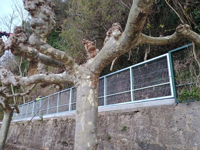 El Gobierno de Asturias inicia la reforma del paseo del puerto de Ribadesella para mejorar la seguridad - Concejo de Ribadesella