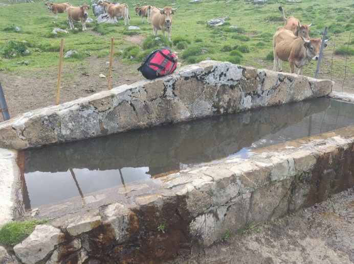 El Gobierno de Asturias invierte 216.000 euros en la mejora de infraestructuras ganaderas en el Parque Nacional de los Picos de Europa - Concejo de Cangas de Onís