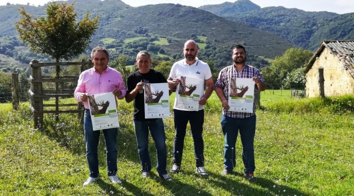 El venado reina en La Comarca de la Sidra - Comarca de la Sidra