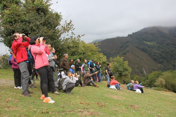 Vuelven las visitas a la berrea del venado en Peñamayor - Ecología y Medioambiente