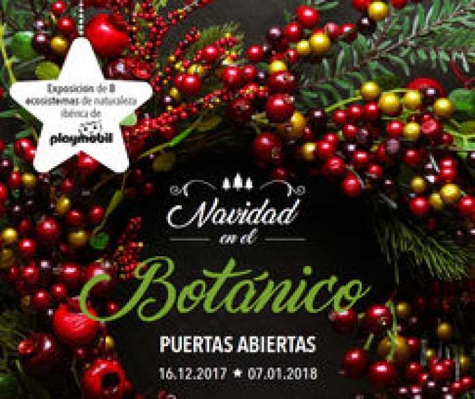 ¡El Jardín Botánico se viste de Navidad! - Concejo de Gijón