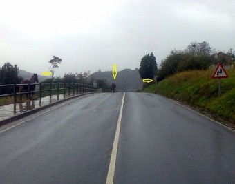 Caballos en la carretera - Concejo de Colunga