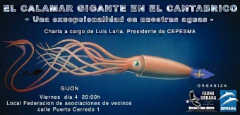 Charla: El calamar gigante en el Cantábrico - Ecología y Medioambiente