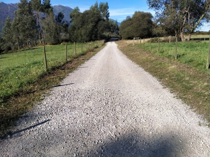 Limpieza de caminos en Llanes - Concejo de Llanes