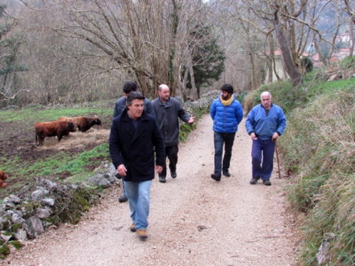 El Ayuntamiento de Llanes remata las obras de mejora del camino de Bustiello, en Vibaño, que facilitarán el acceso a pastizales - Concejo de Llanes