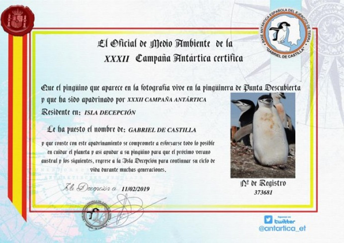 Apadrina un pingüino - Ecología y Medioambiente