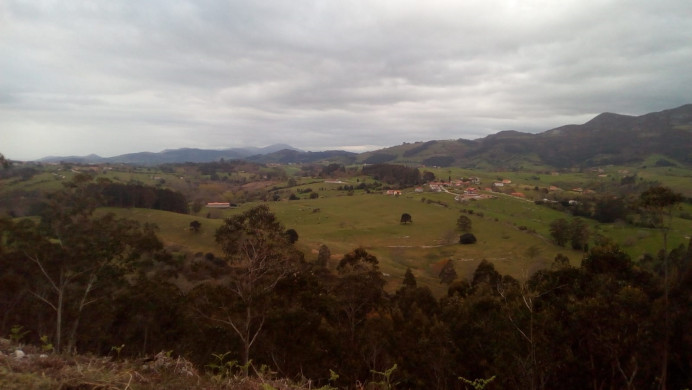 Ecologistas de Asturias: El Principado autoriza un nueva cantera en Ribadedeva y Llanes sin atender las alegaciones presentadas - Ecología y Medioambiente
