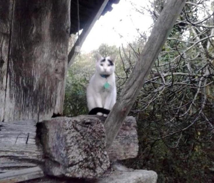 Omar Pardo: Memorias de una pequeña parroquia rural asturiana - Concejo de Colunga