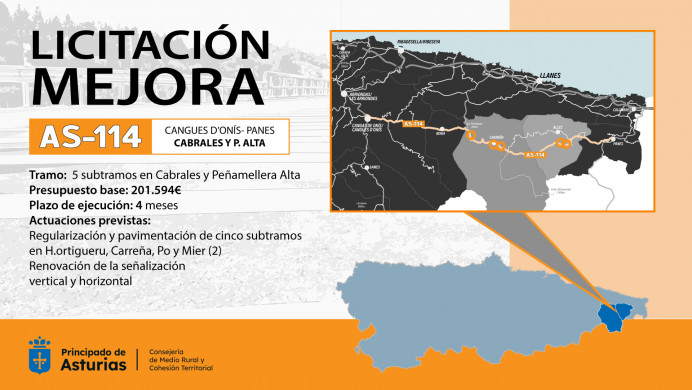 Medio Rural saca a licitación por 201.000 euros las obras de mejora de la AS114 en Cabrales y Peñamellera Alta - Oriente de Asturias
