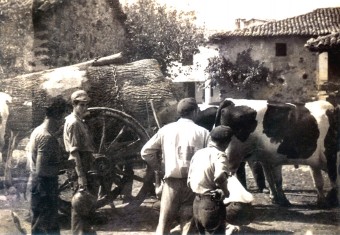 LOS PALANQUINOS. - Concejo de Colunga