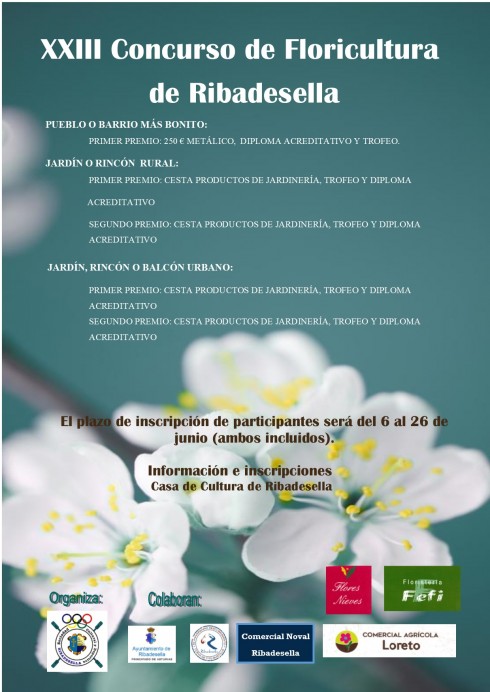 XXIII Concurso de Floricultura de Ribadesella - Arte