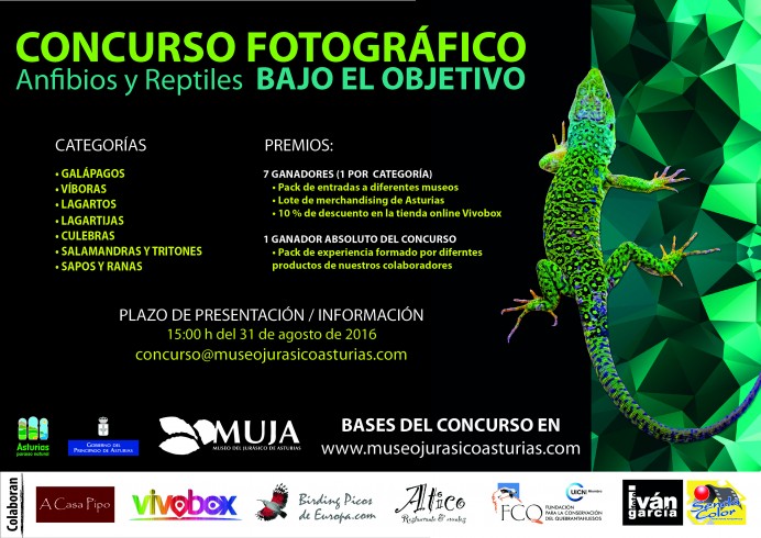 Concurso fotográfico Anfibios y Reptiles bajo el Objetivo - Concejo de Colunga