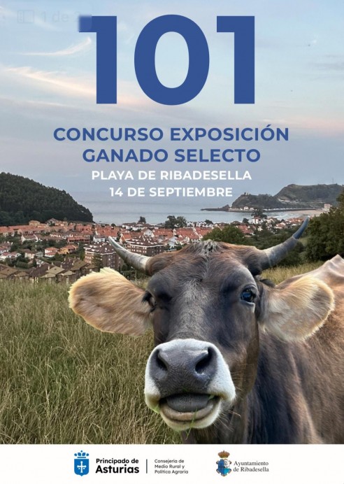 Ribadesella acoge el 101 Concurso Exposición de Ganado Selecto - Concejo de Ribadesella