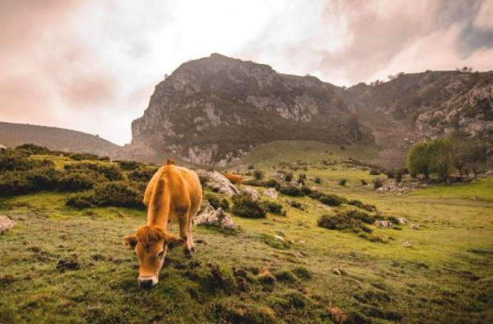 La agenda turística de Asturias para el mes de junio - Asturias