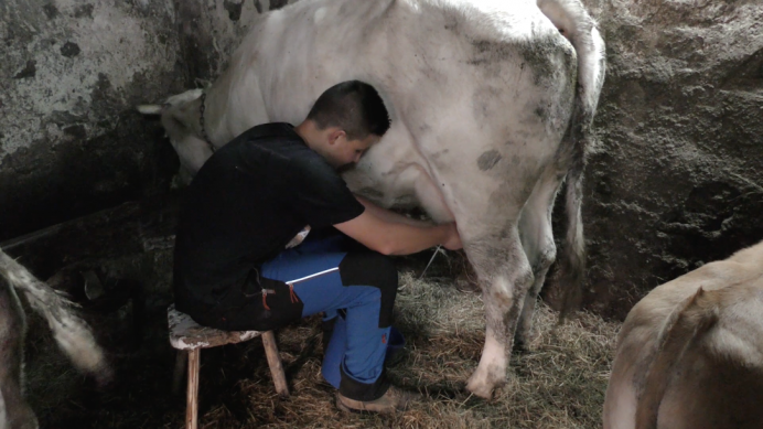 La plataforma de youtubers asturianos PlayPresta estrena esti martes un programa sobre´l campu asturianu - Noticies N´Asturianu