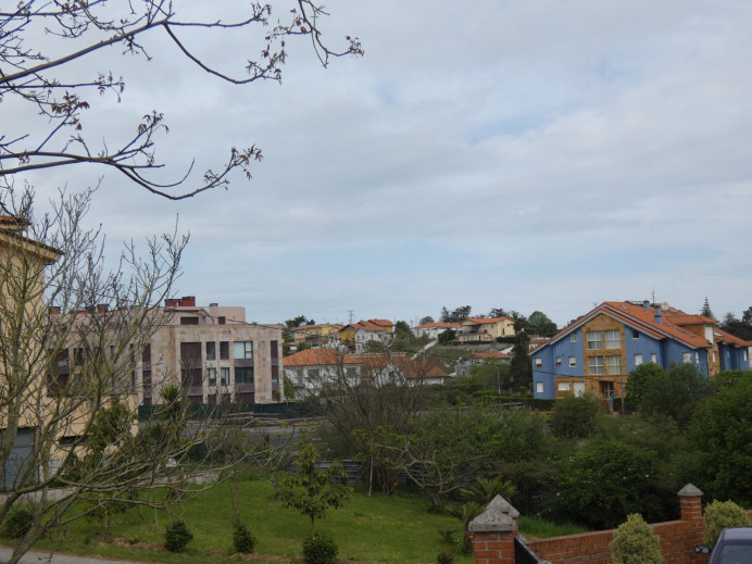 Ecologistas de Asturias: Nos oponemos a miles de nuevas viviendas en Llanes por su elevado impacto ambiental - Ecología y Medioambiente