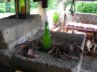 De sidra por un centollu - Concejo de Colunga