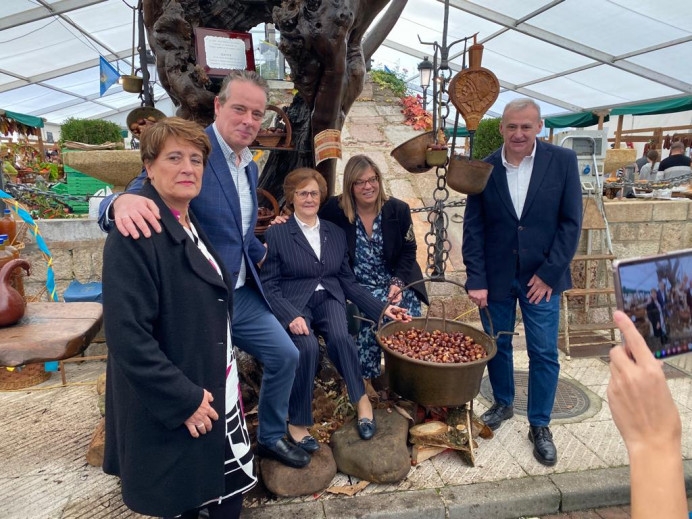 Medio Rural invierte más de medio millón en la lucha contra la avispilla del castaño con organismos biológicos - Asturias