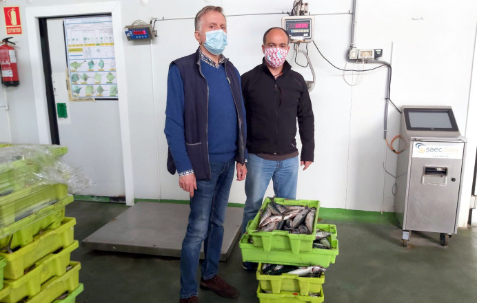 Cofradía Llanes dona más 50 kg xarda para ayuda solidaria - Concejo de Llanes